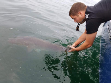 FB_IMG_1518621941051