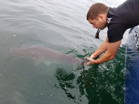 FB_IMG_1518621941051