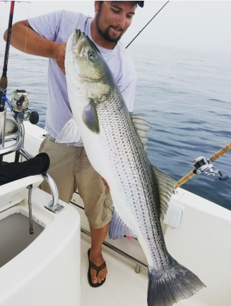 Screenshot_20180214-101107