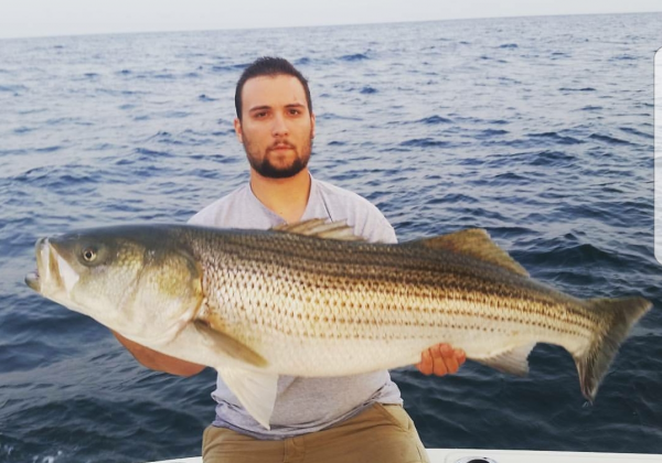 Screenshot_20180214-101154