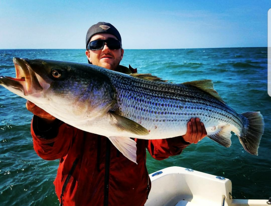 Screenshot_20180214-101318