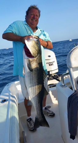 ii_jeyve5vu7_16240a00bd1f55e3