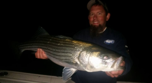 ii_jftxvzz221_162b099d9cd5dfa8