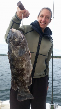 ii_jfty5c440_162b0a0801f12b92