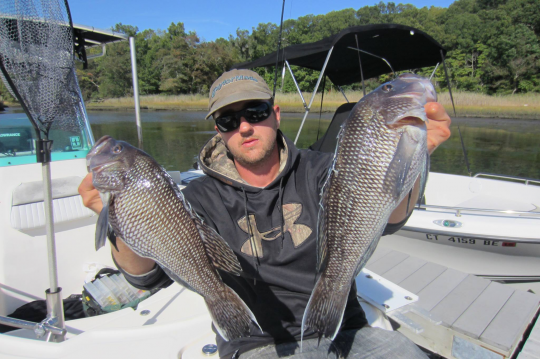 ii_jfty6tlw3_162b0a18ce6544af