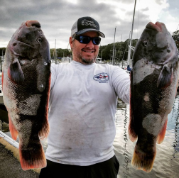 ii_jftyb6o76_162b0a4aabf17310