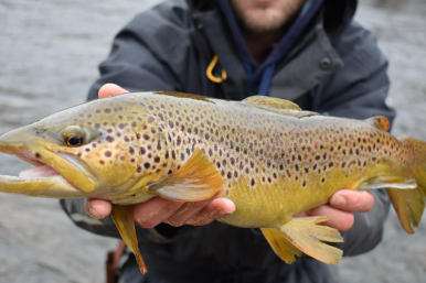 ii_jfo5jk500_1629bbe2d0bcc1aa