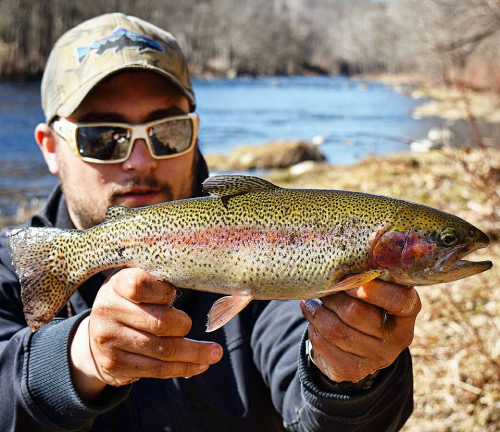 ii_jfo5lppy3_1629bbfb20b9c50c